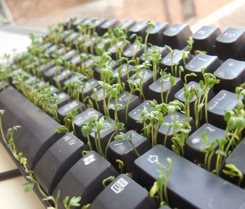 Как научиться писать грамотно 39108796 20393306 eco office